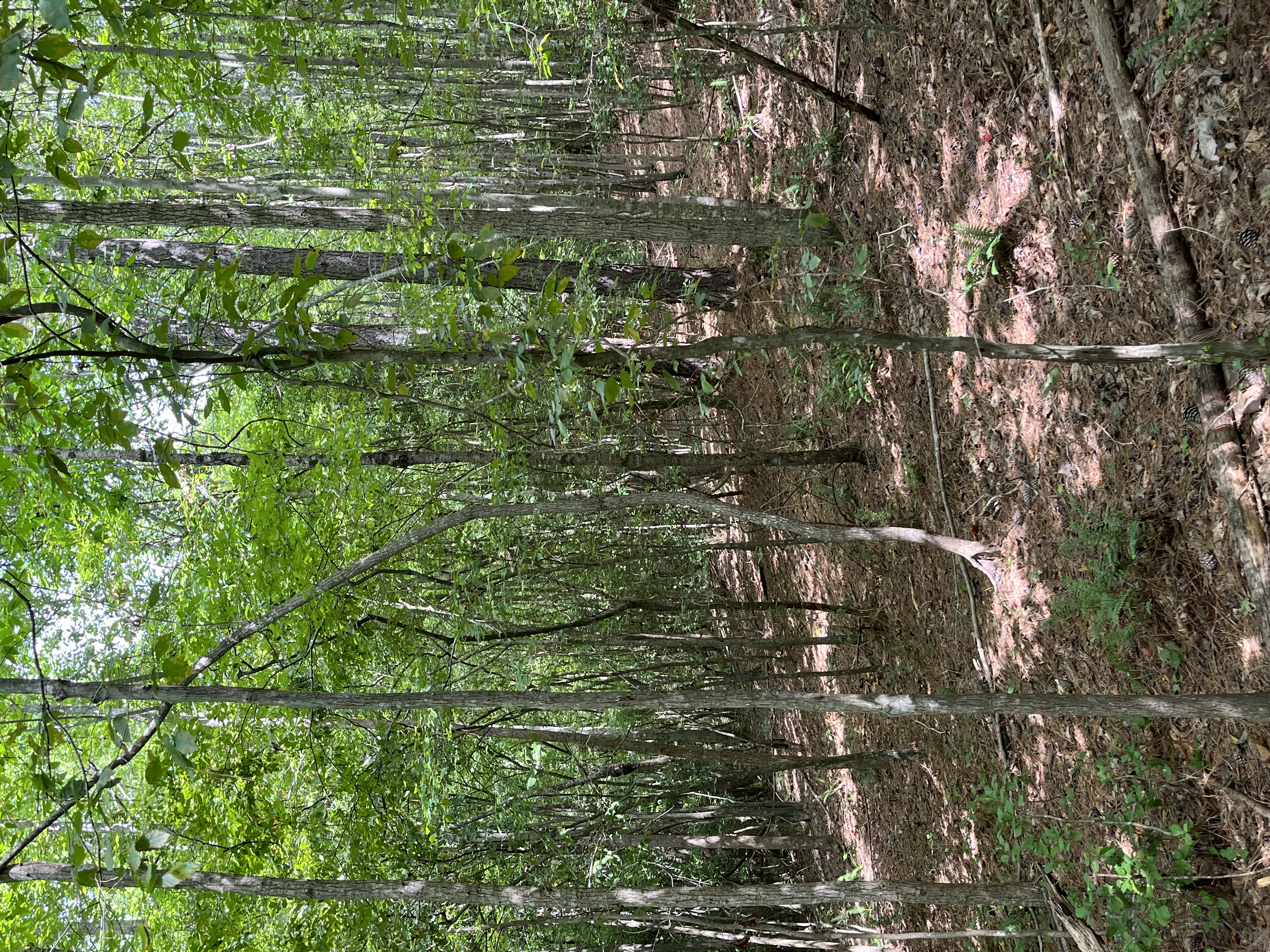 0 | Photo 3