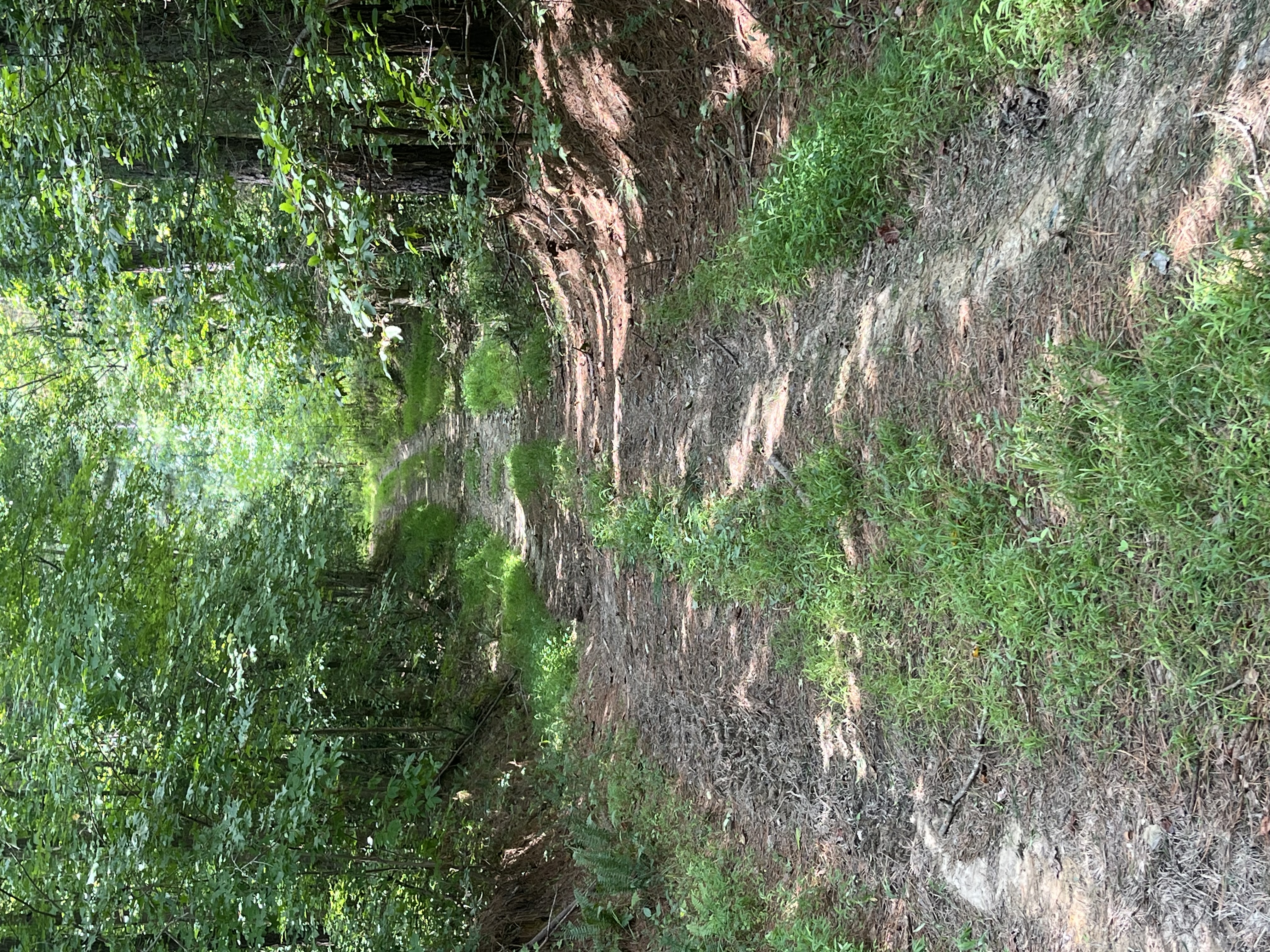 0 | Photo 16