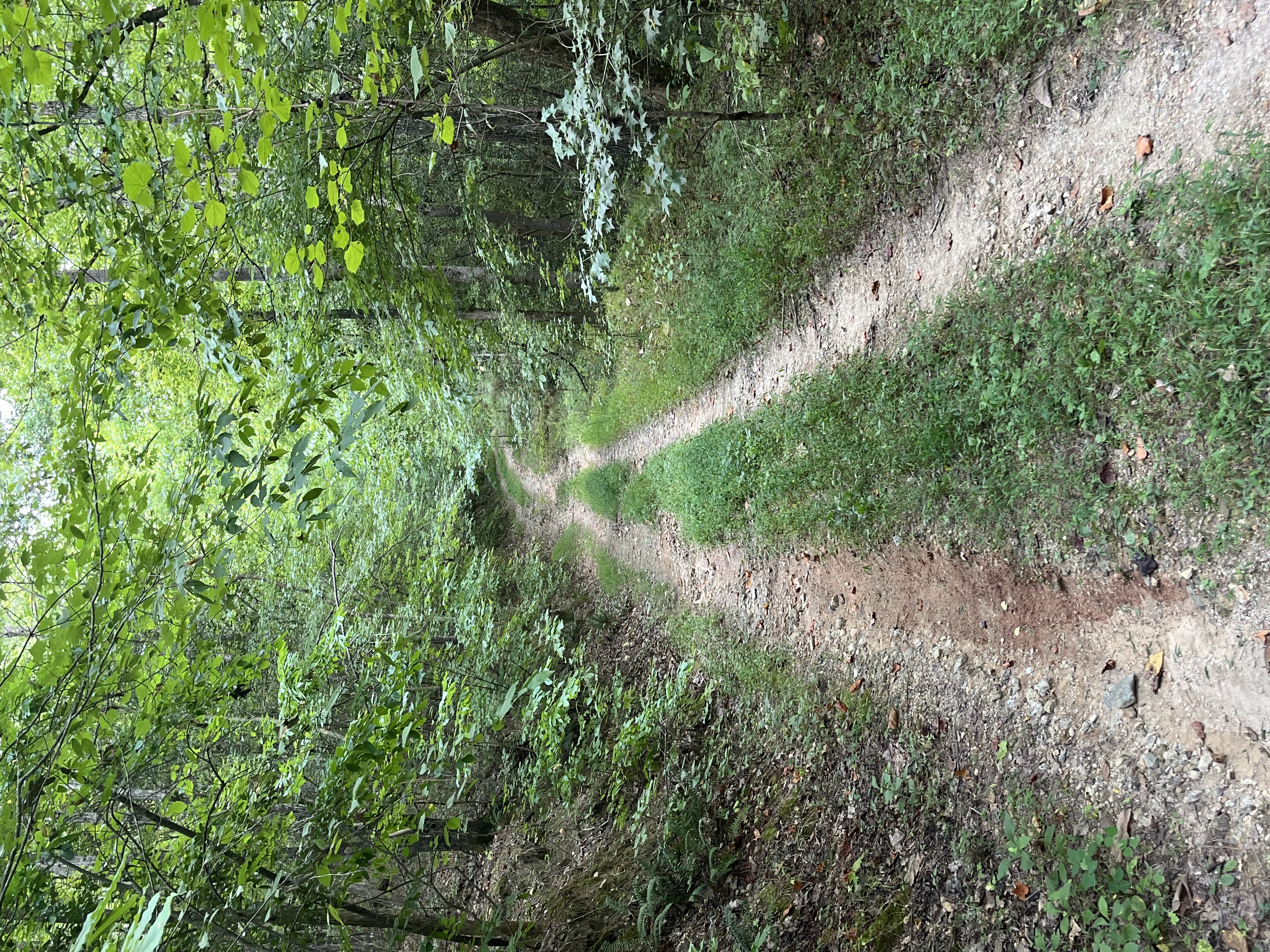 0 | Photo 20