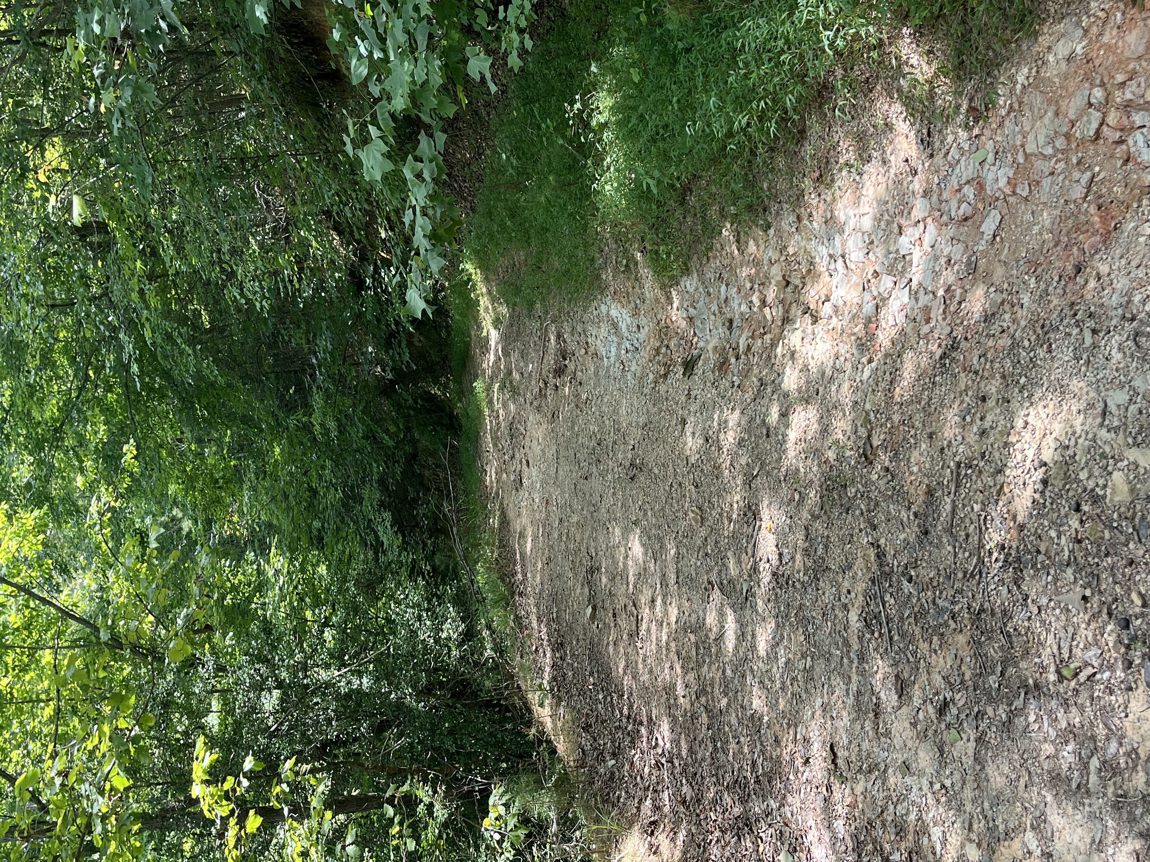 0 | Photo 21